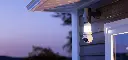 19c4288c-5924-4671-bcc2-2920b36eef54.webp